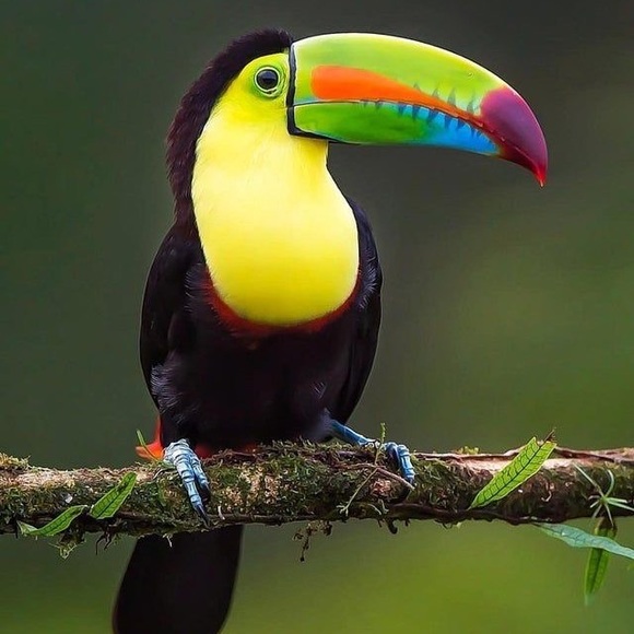 Meet your Posher, Dominika - Picture 2 of 9